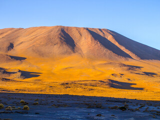 High peaks and typical grass clumps at Laguna Colorada in southern bolivian Altiplano