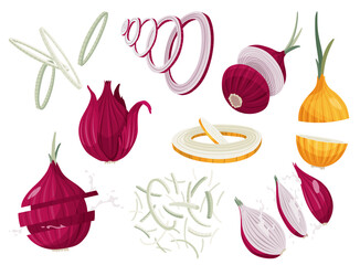 Onions set. Whole unpeeled, half, onion rings and slices. Fresh farm market symbols.  illustration of organic farm fresh vegetables