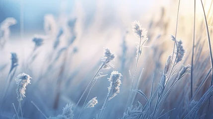 Fotobehang Beautiful winter background with a plants covered with hoarfrost © reddish