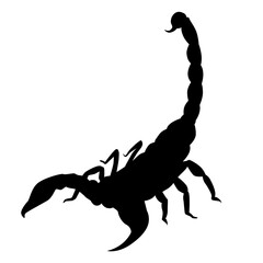 scorpions silhouette
