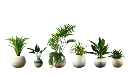 Home interior design room decor with mini potted plants cactus and succulent plants on wooden shelf on concrete wall loft style background