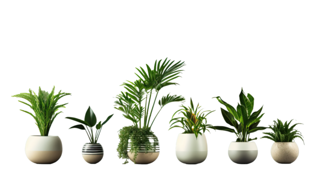 Home interior design room decor with mini potted plants cactus and succulent plants on wooden shelf on concrete wall loft style background