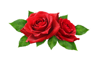 Red rose flowers in a floral arrangement isolated on white or transparent background - obrazy, fototapety, plakaty