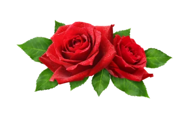 Fototapeten Red rose flowers in a floral arrangement isolated on white or transparent background © Ortis