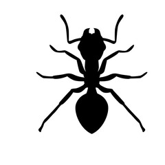 ant silhouette