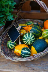 Autumn harvest of pumpkins at outdoor farmers market. Composition for Halloween and Thanksgiving day. Vegetarian healthy food