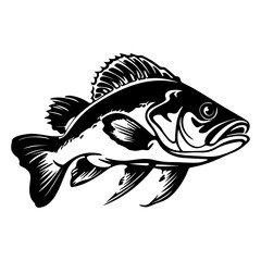 Fishing bass  isolated,Hand-drawn.