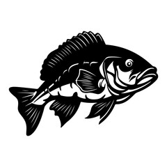 Fishing bass  isolated,Hand-drawn.