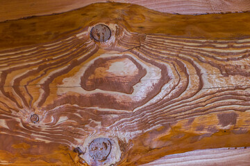 Fragment of varnished natural spruce plank with annual growth lines