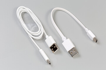 Fototapeta premium Cables USB Type-A to Type-C on gray background