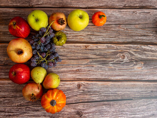 Naklejka na ściany i meble Autumn still life . Different fruits , vegetables an pumpkin ion the wooden table