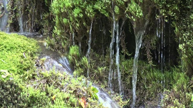 River Waterfall in Closeup in Mountains, Clear Spring Fresh Water, Transparent Alpine Stream, Crystalline Brook, Crystal Drops