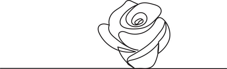 rose sketch, on a white background, vector