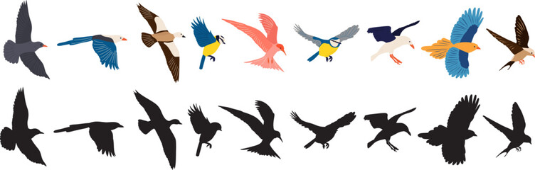 set of flying birds, on a white background, vector