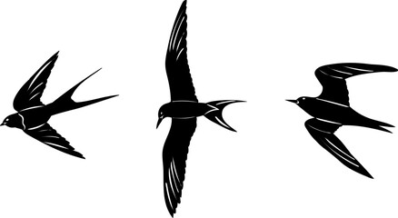 silhouette of a swallow flying, on a white background, vector