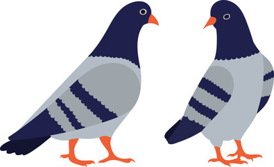 pigeons, on a white background, vector