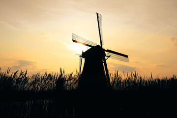 silhouette of windmills during rising sun