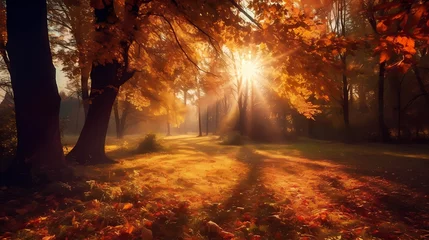 Rolgordijnen Countryside in the Autumn, forest in the morning, calm morning in the fall season © ArtAndjelija
