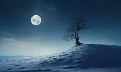 Papier Peint photo Blue nuit winter landscape with full moon.