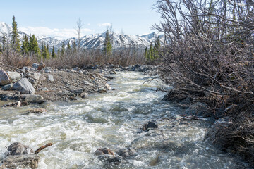 Savage River Tributary in Denali National Park in Alaska, USA