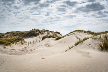 sand dunes on the beach at schoorlse duinen in the netherlands
