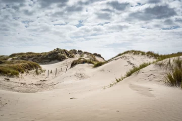 Badkamer foto achterwand Noordzee, Nederland sand dunes on the beach at schoorlse duinen in the netherlands