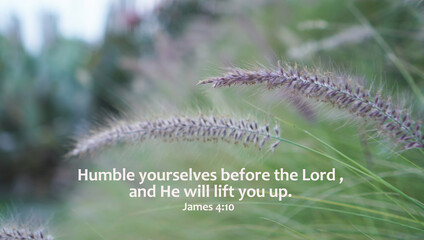 Bible verse quote - Humble yourselves before the Lord, and He will lift you up. James 4: 10 On soft...
