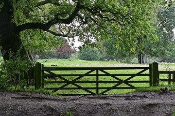 Grounds gardens and estate of Baddesley Clinton Stately Home Warwickshire England UK Great Britain