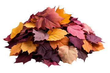 Wholesome Autumn Leaf Gathering Isolated on Transparent Background