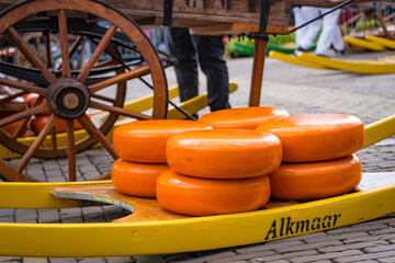 whole cheese on wooden barrows at alkmaar cheese market
