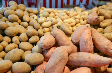 Einkaufen auf dem Wochenmarkt: Blick auf eine Auswahl an unterschiedlichen Kartoffeln und Süßkartoffeln an einem Verkaufsstand, selektiver Fokus, Copyspace