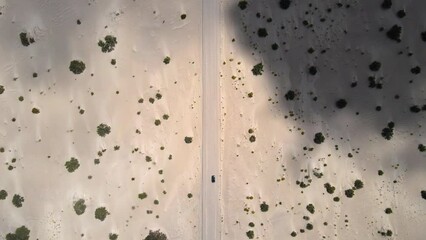 Static, straight down drone shot of a gray car driving on a road through the desert.