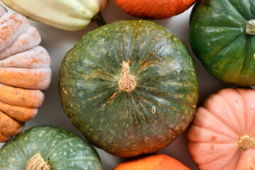 Top view of  green Kuri Hokkaido squash between pumpkin and squash mix