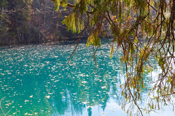 Blue Lake, the source of the Red Key in Bashkortostan, deciduous and coniferous trees around it.