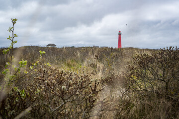 red lighthouse on the dutch island schiermonnikoog
