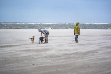 Fotobehang Noordzee, Nederland people walking their dogs on the beach