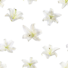 Fototapeta premium Beautiful lily flowers falling on white background