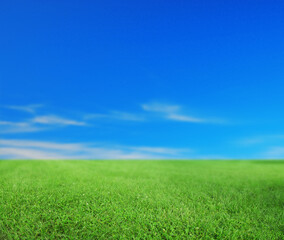 Green grass under bright blue sky with clouds