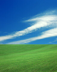 Green grass under bright blue sky with clouds