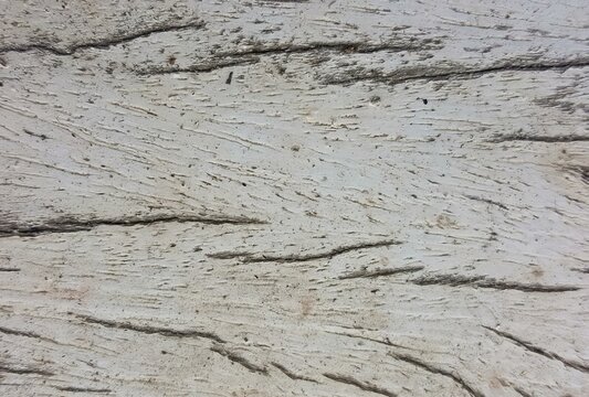 texture of a white stone with a rough texture.