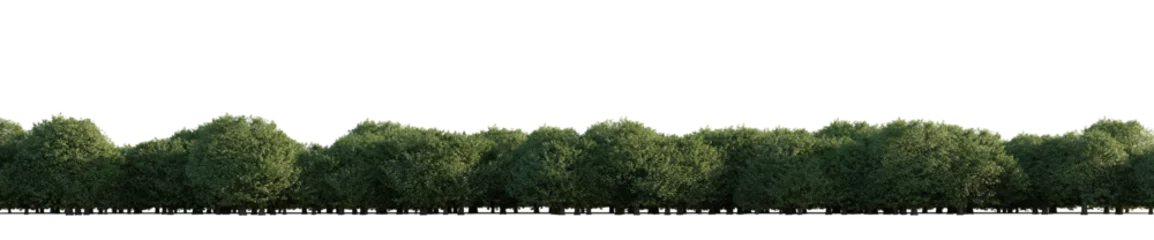 Wandaufkleber isolated deciduous tree, best use for background © AK082