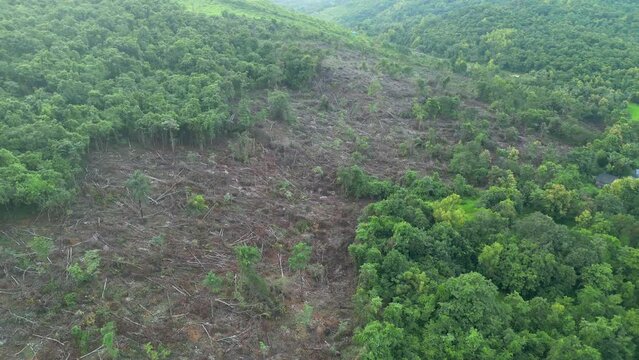 lots of  trees have been cut down in the forest malvan drone shot