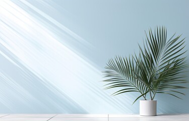 Empty room with palm leaf in the background, in the style of light gray and light azure