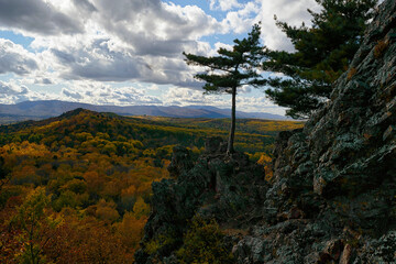 Mellow autumn in the Ussuri taiga. Bolshekhekhtsirsky Nature Reserve. Khabarovsk Krai, far East, Russia.