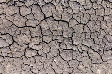 The soil in the desert with cracked by drought