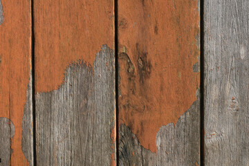 Wood Texture with Orange color and nature color for nature background.