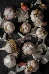 Fresh garlic bulbs and cloves grouped on black background