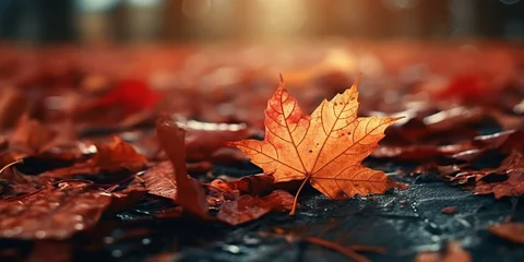 Zelfklevend Fotobehang autumn fall leaves background cinematic © Young