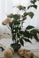 eco-friendly replacement for floral sponge kenzan, metal kenzan in a low vase with a bouquet in the style of minimalism