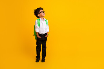 Fototapeta na wymiar Full size portrait of minded smart little kid carry backpack look interested empty space ad isolated on yellow color background